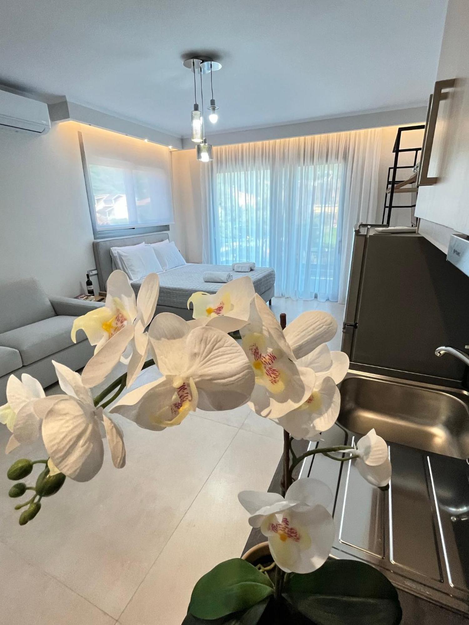 Maison Deluxe Studios And Apartment Parga Dış mekan fotoğraf