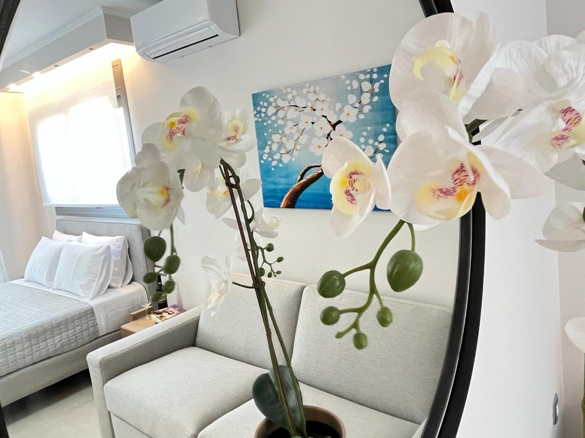 Maison Deluxe Studios And Apartment Parga Dış mekan fotoğraf